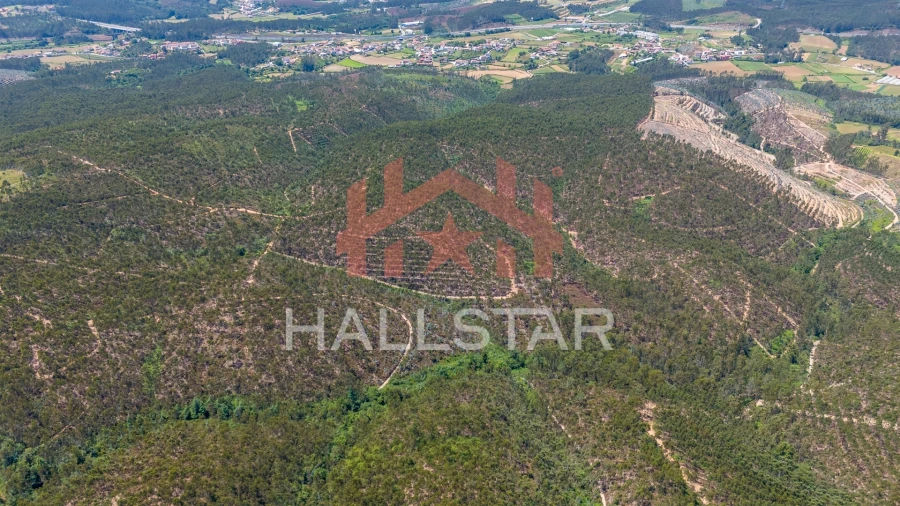 Terreno Agricola ou Rústico para Venda em Covelas Foto 22