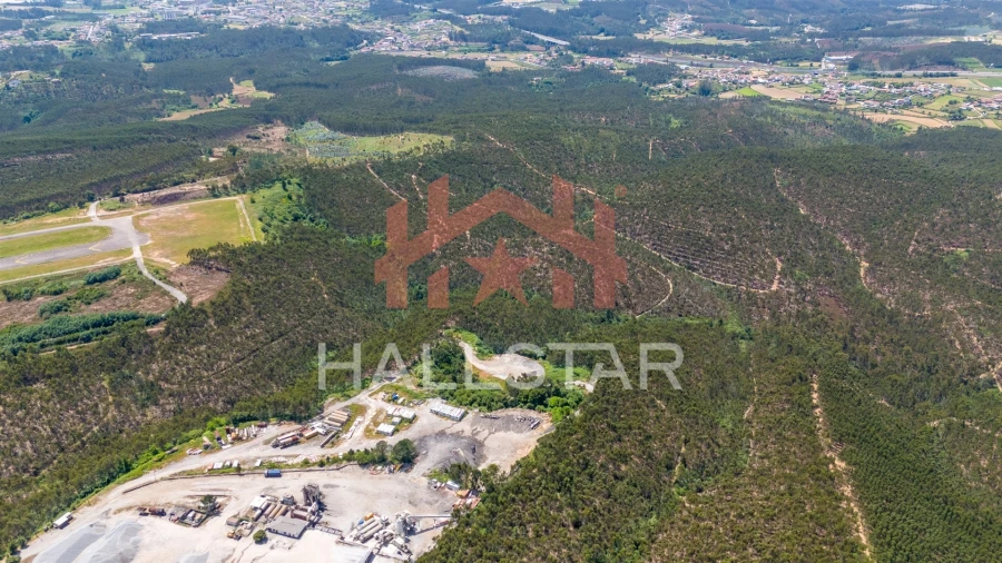 Terreno Agricola ou Rústico para Venda em Covelas Foto 16