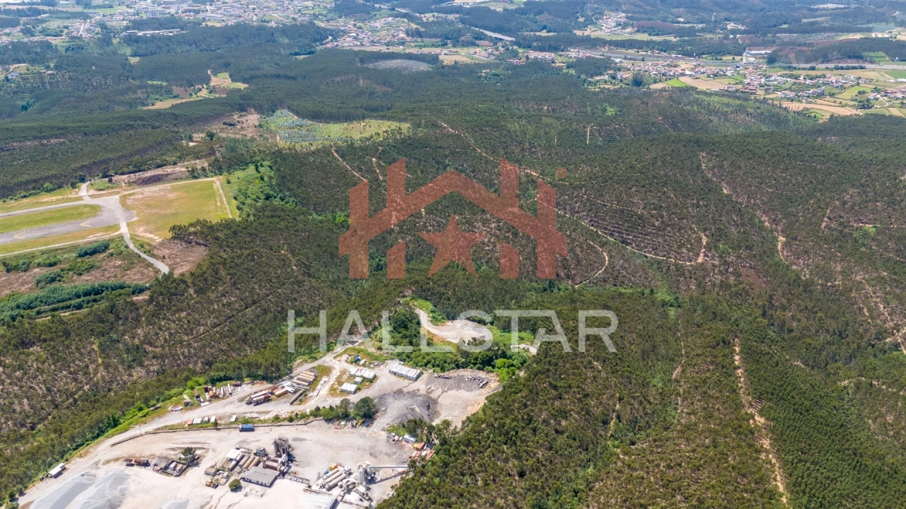 Terreno Agricola ou Rústico para Venda em Covelas Foto 16