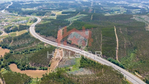 Terreno Agricola ou Rústico para Venda em Covelas