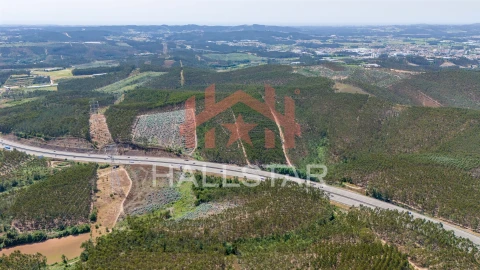 Terreno Agricola ou Rústico para Venda em Covelas
