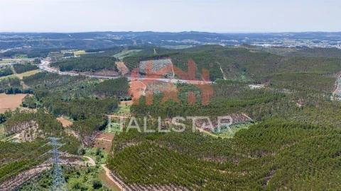 Terreno Agricola ou Rústico para Venda em Covelas