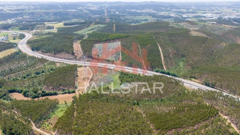 Terreno Agricola ou Rústico para Venda em Covelas
