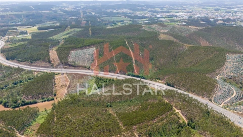 Terreno Agricola ou Rústico para Venda em Covelas
