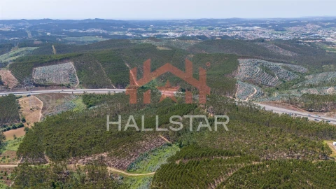 Terreno Agricola ou Rústico para Venda em Covelas