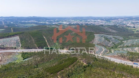 Terreno Agricola ou Rústico para Venda em Covelas