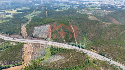 Terreno Agricola ou Rústico para Venda em Covelas