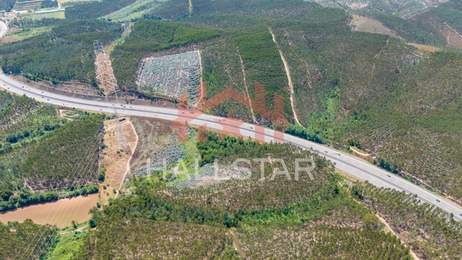 Terreno Agricola ou Rústico para Venda em Covelas Foto 3