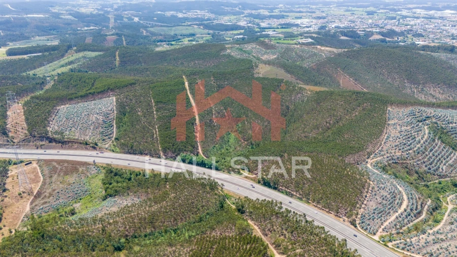 Terreno Agricola ou Rústico para Venda em Covelas Foto 19