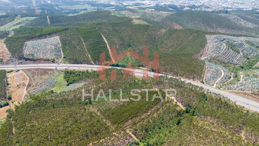 Terreno Agricola ou Rústico para Venda em Covelas Foto 15