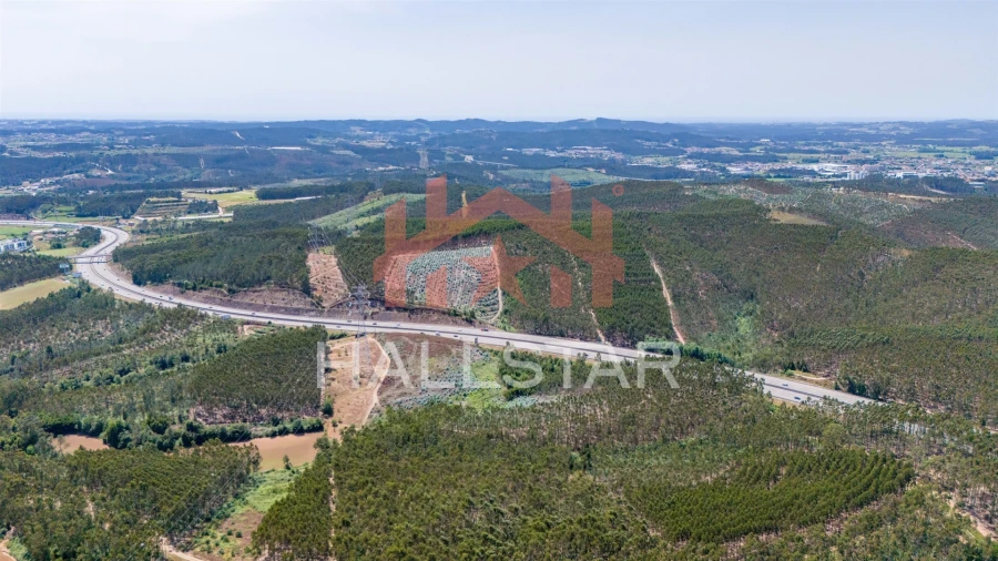 Terreno Agricola ou Rústico para Venda em Covelas Foto 8