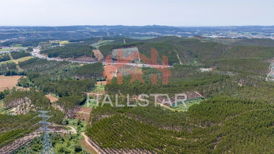 Terreno Agricola ou Rústico para Venda em Covelas Foto 4