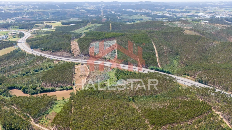 Terreno Agricola ou Rústico para Venda em Covelas Foto 12