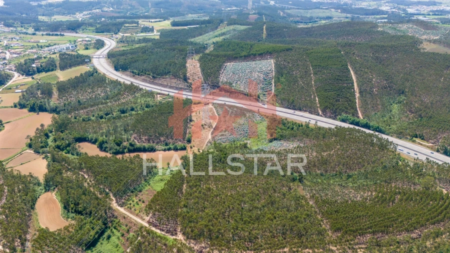 Terreno Agricola ou Rústico para Venda em Covelas Foto 14