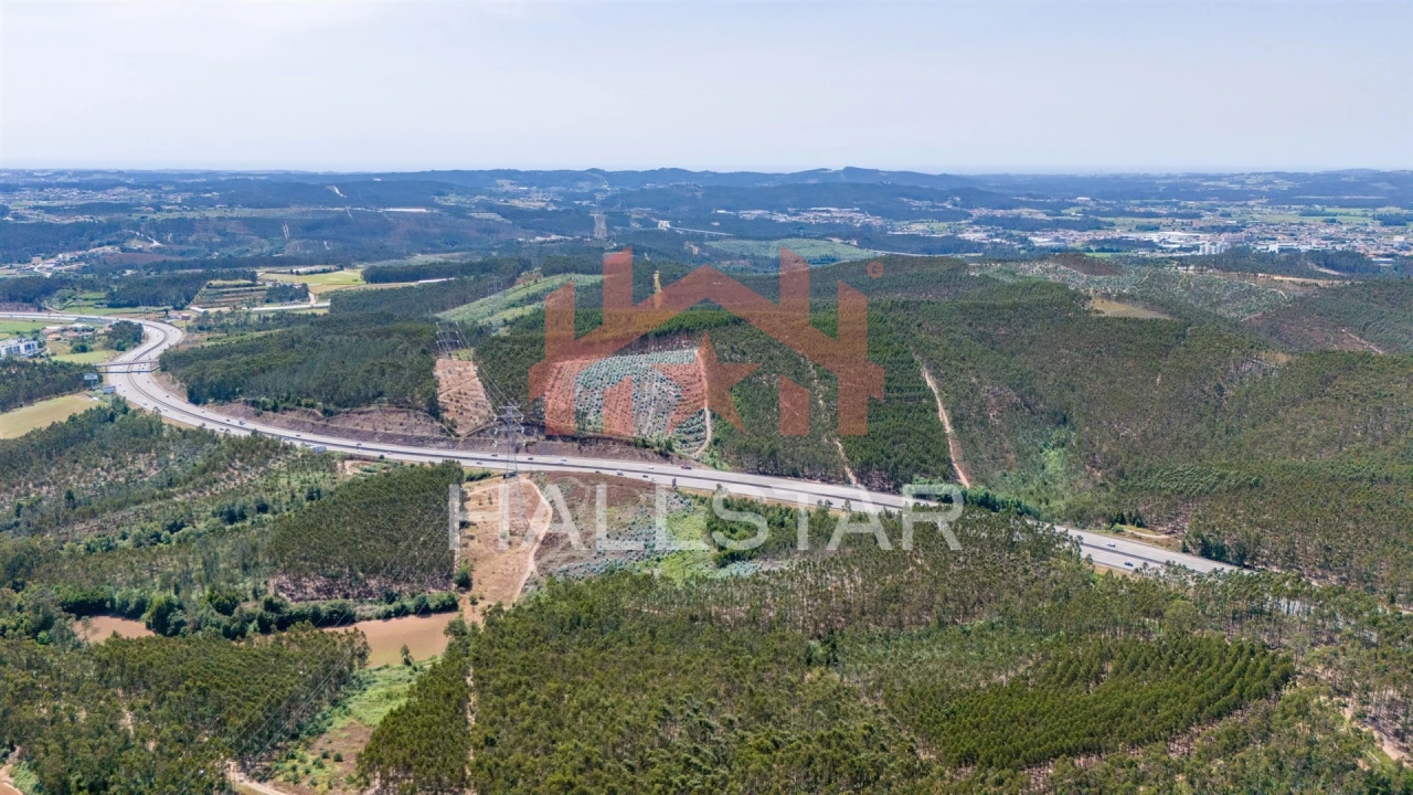 Terreno Agricola ou Rústico para Venda em Covelas Foto 8