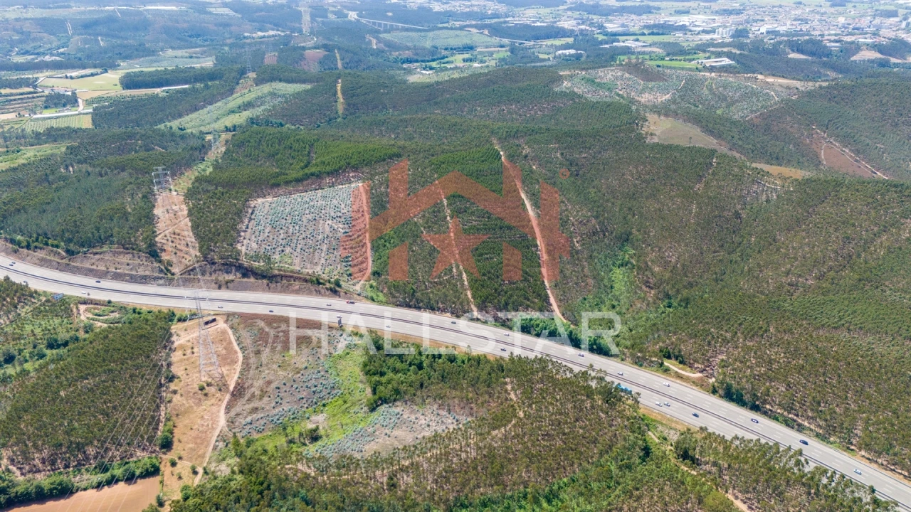 Terreno Agricola ou Rústico para Venda em Covelas Foto 17