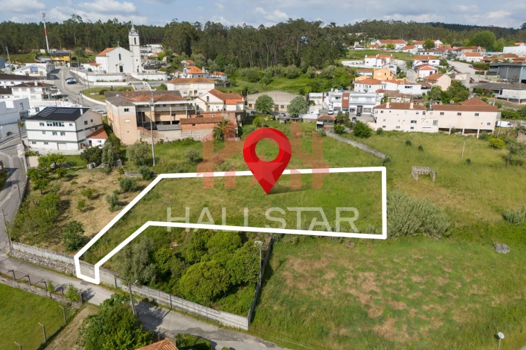 Terreno para Venda em Colmeias e Memória Foto 19
