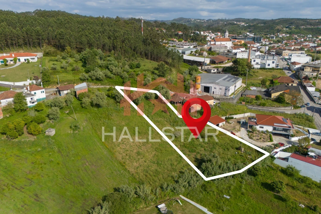 Terreno para Venda em Colmeias e Memória Foto 13