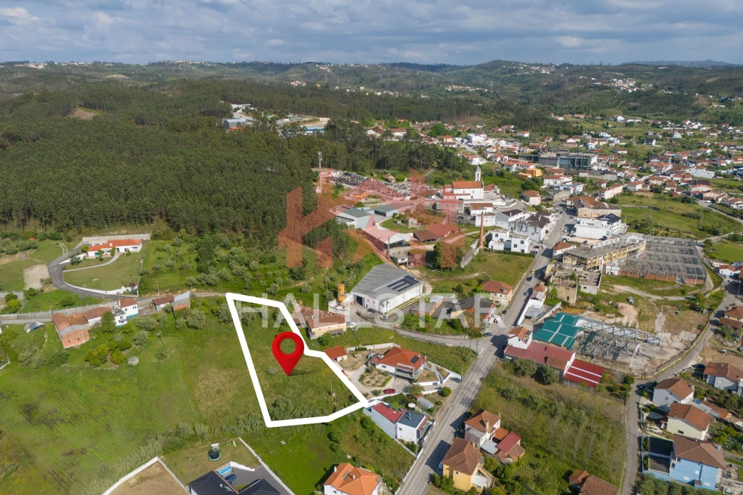 Terreno para Venda em Colmeias e Memória Foto 19