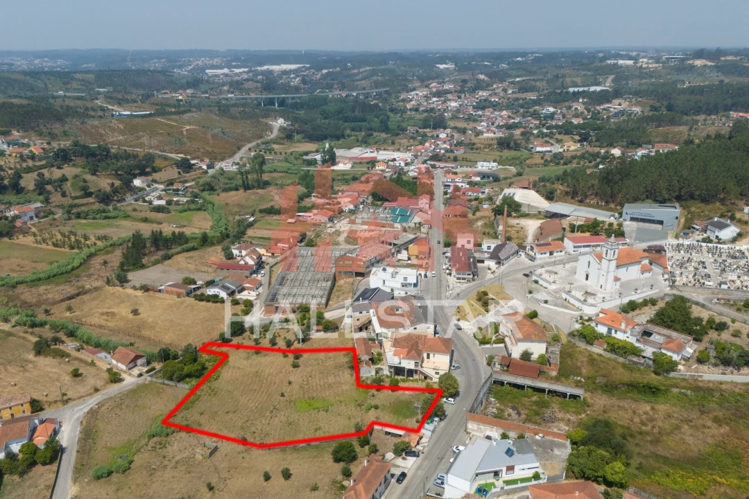 Terreno para Venda em Colmeias e Memória Foto 23