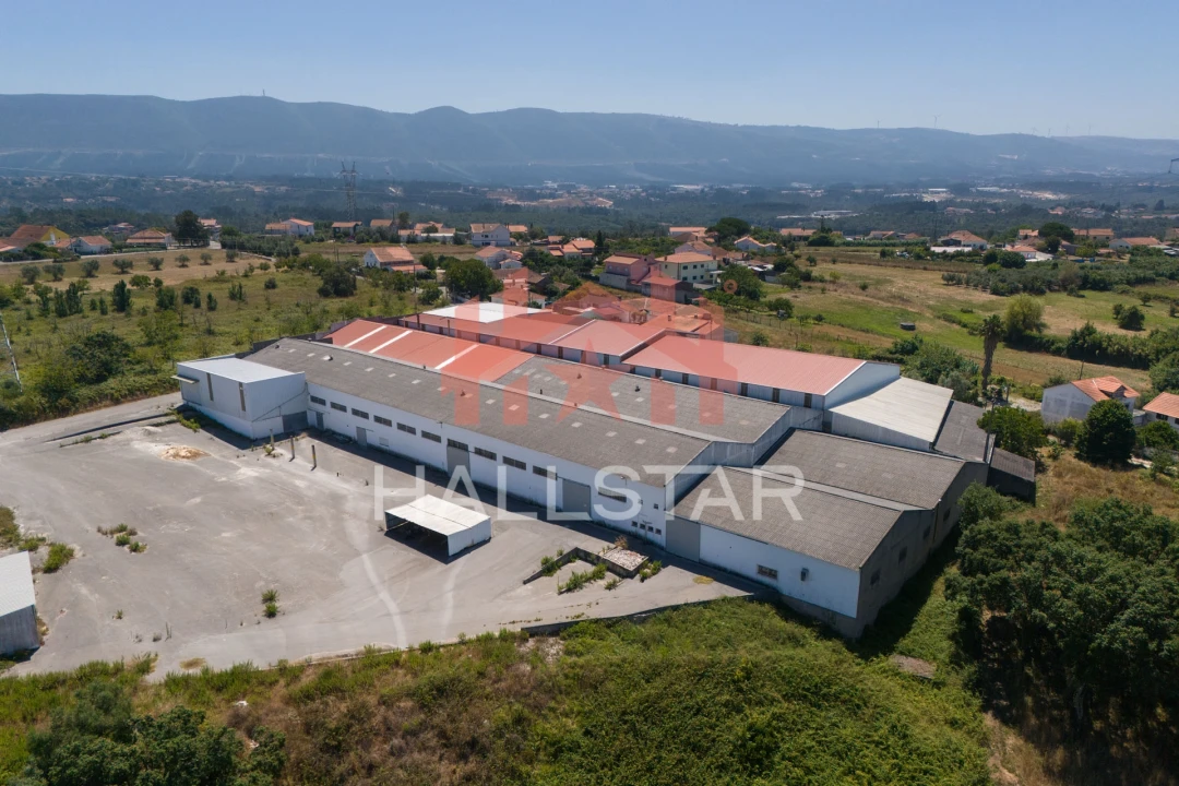Armazém para Venda em Aljubarrota Foto 45