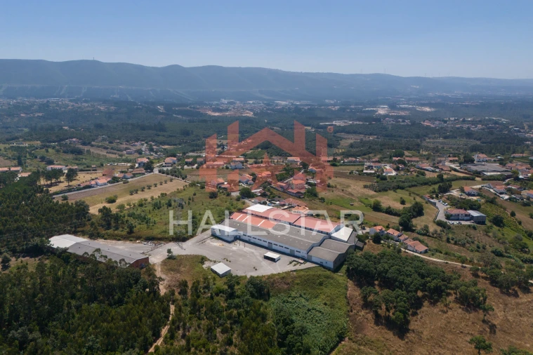 Armazém para Venda em Aljubarrota Foto 47