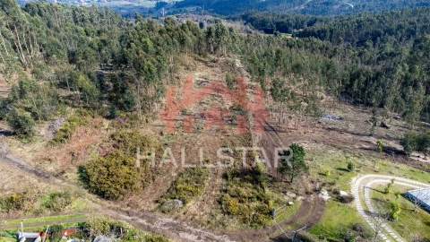 Terreno Agricola ou Rústico para Venda em Croca