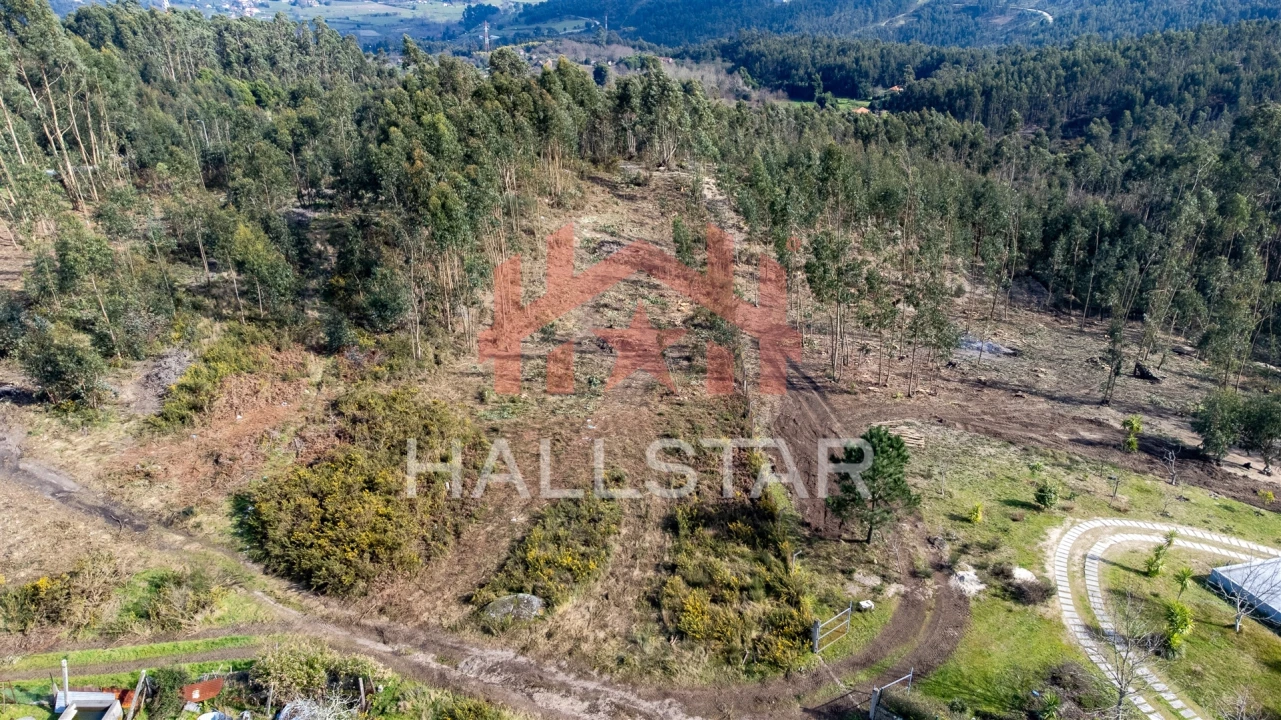 Terreno Agricola ou Rústico para Venda em Croca Foto 7