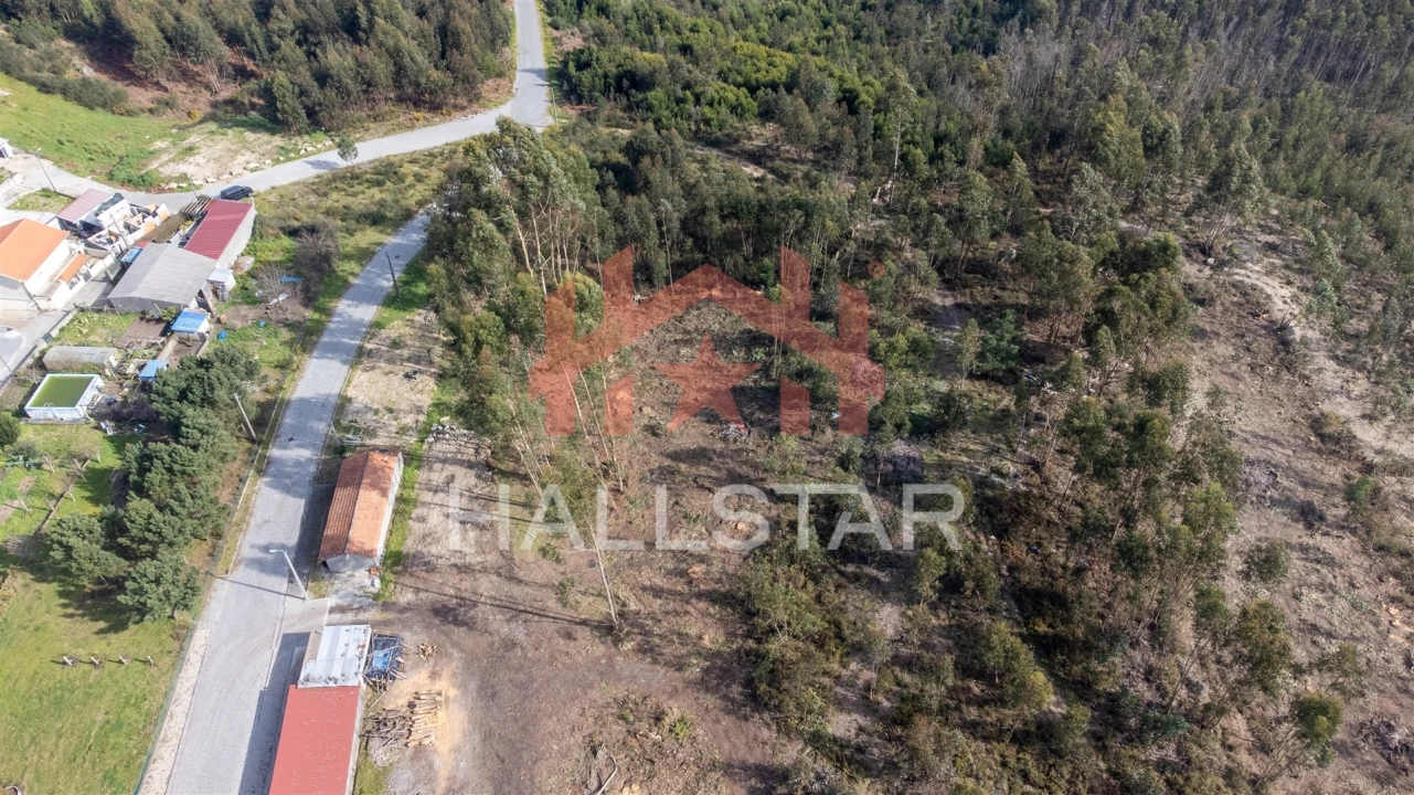 Terreno Agricola ou Rústico para Venda em Croca Foto 2