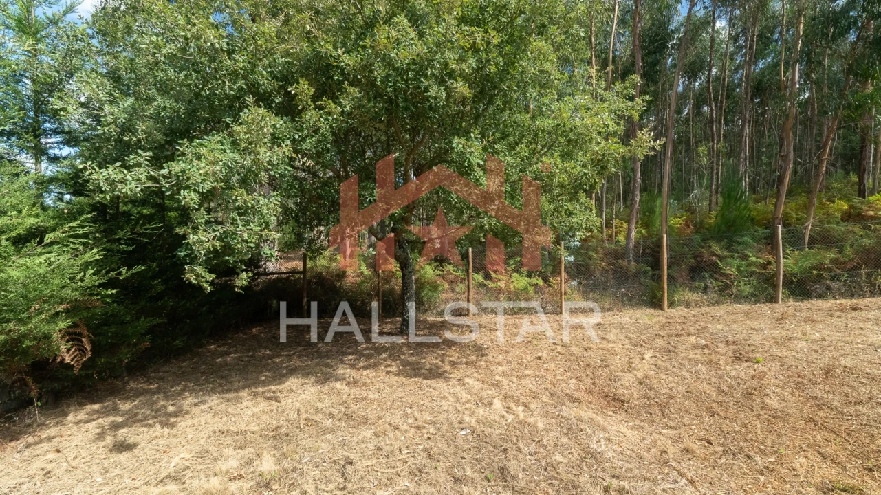 Terreno para Venda em Arrabal Foto 17