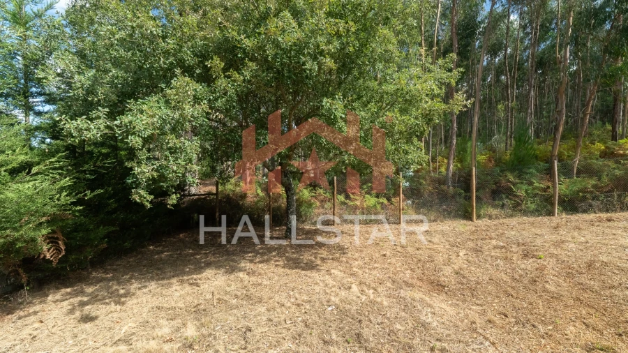 Terreno para Venda em Arrabal Foto 17