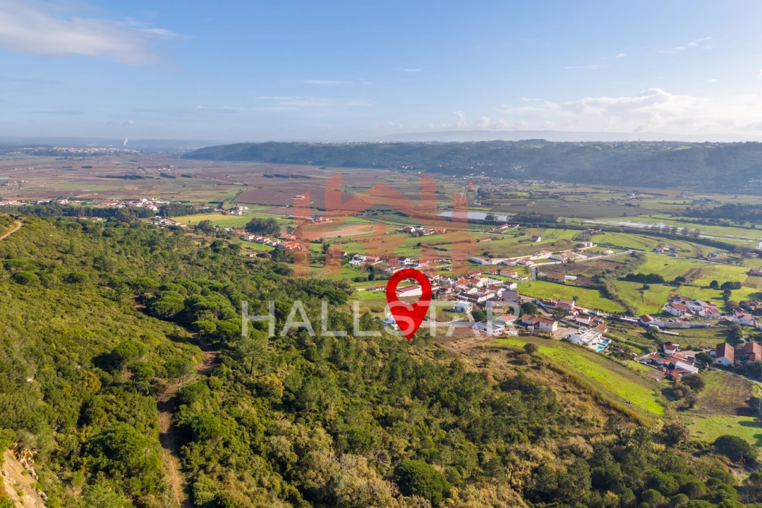 Terreno para Venda em Famalicão Foto 19