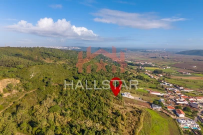 Terreno para Venda em Famalicão