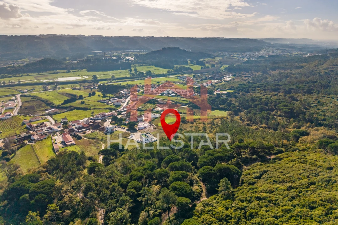 Terreno para Venda em Famalicão Foto 21