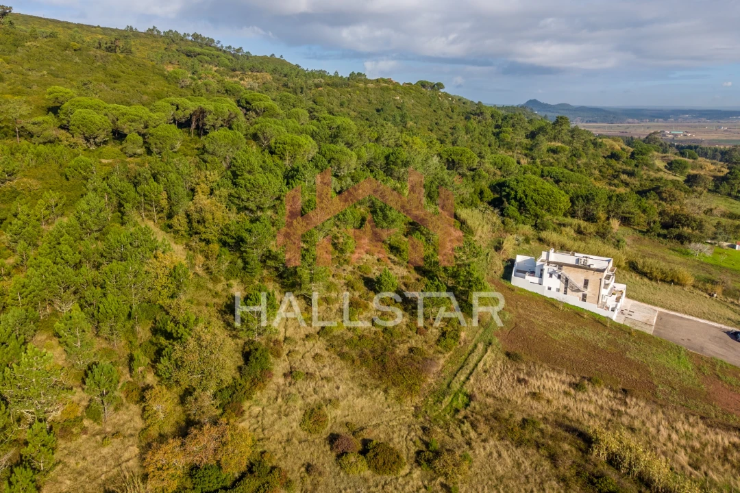 Terreno para Venda em Famalicão Foto 11