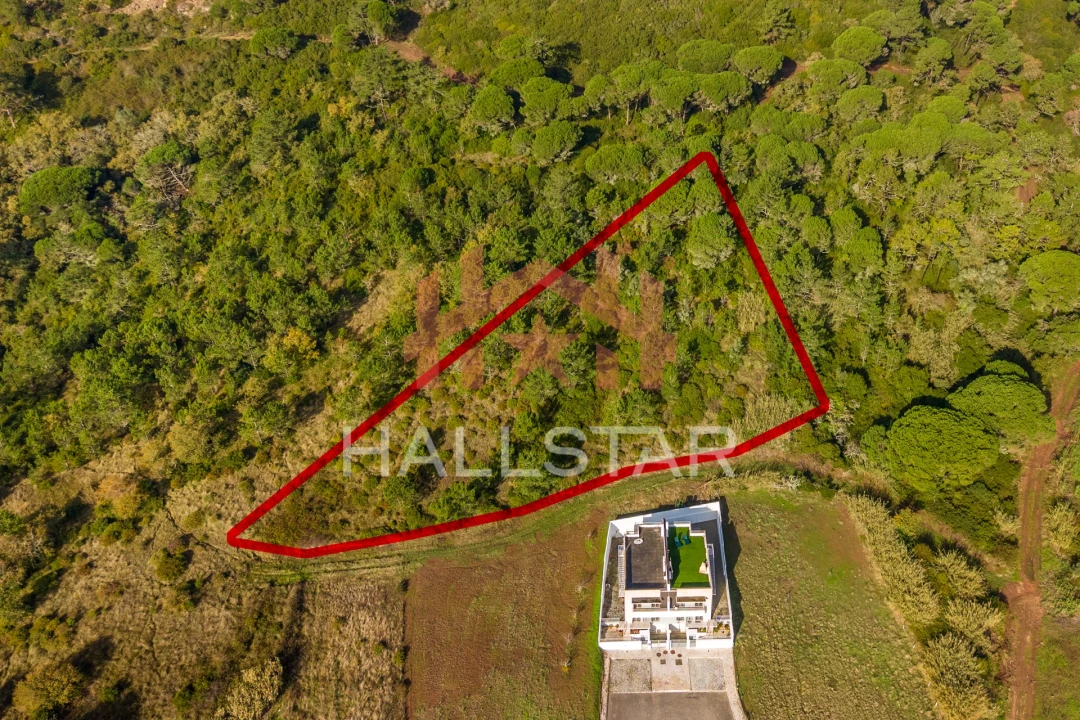 Terreno para Venda em Famalicão Foto 1