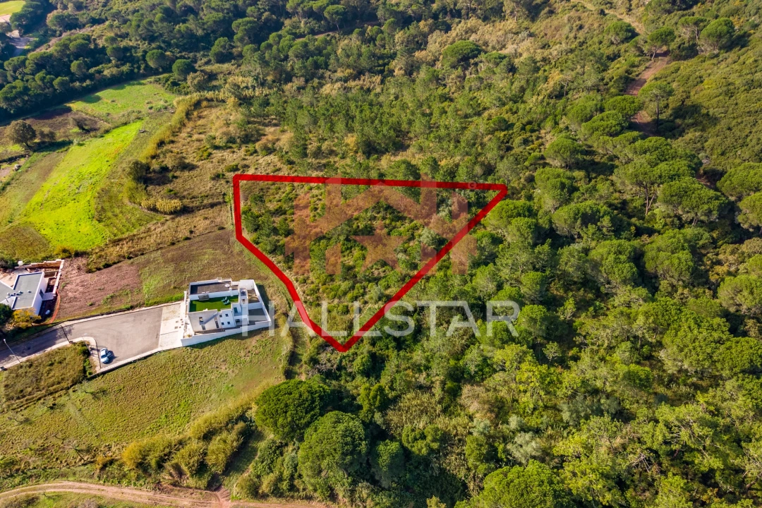 Terreno para Venda em Famalicão Foto 4