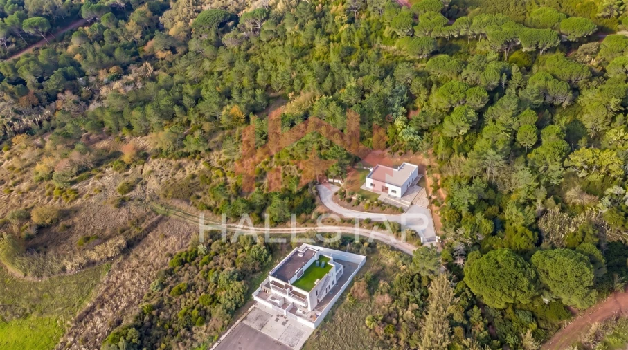 Terreno para Venda em Famalicão Foto 2