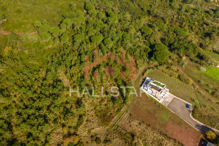 Terreno para Venda em Famalicão Foto 10