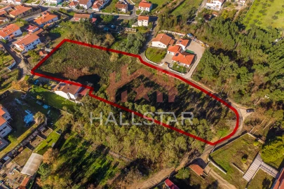 Terreno para Venda em Juncal