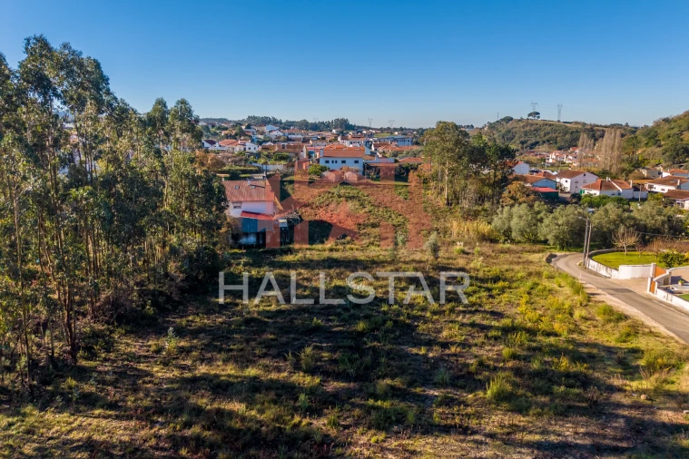 Terreno para Venda em Juncal Foto 13