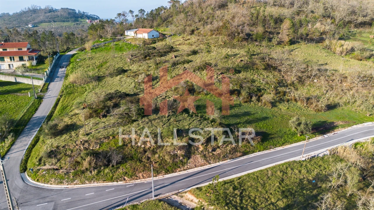 Terreno para Venda em Colmeias e Memória Foto 6