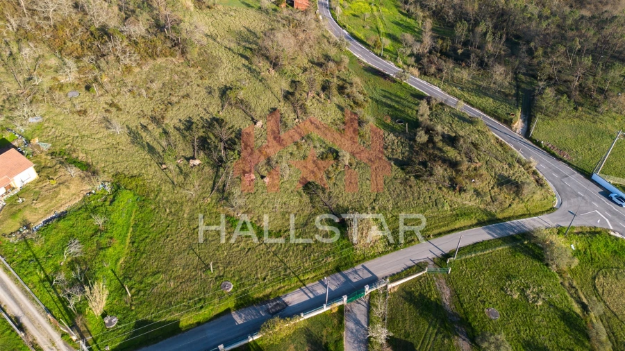 Terreno para Venda em Colmeias e Memória Foto 12