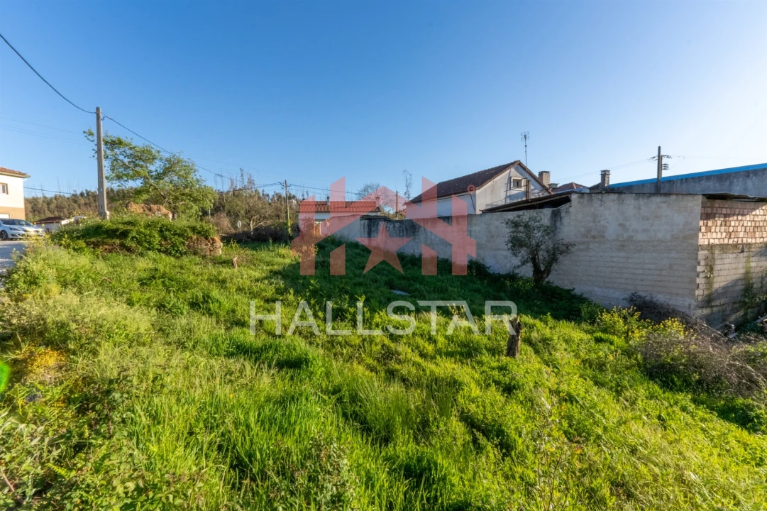 Terreno para Venda em Colmeias e Memória Foto 16