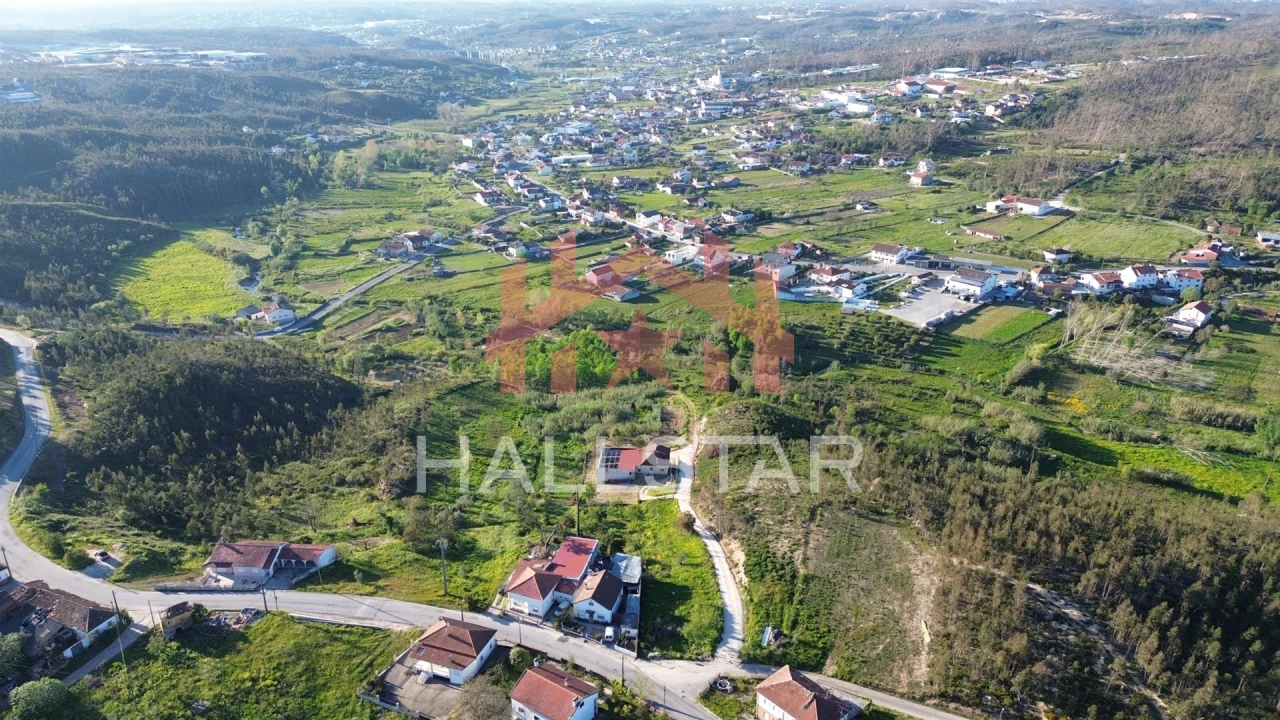 Terreno para Venda em Colmeias e Memória Foto 12
