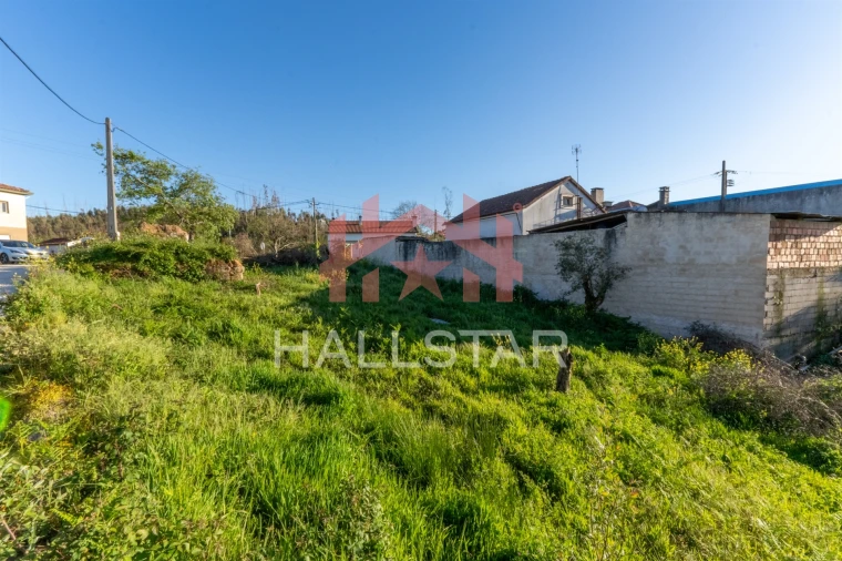Terreno para Venda em Colmeias e Memória Foto 16