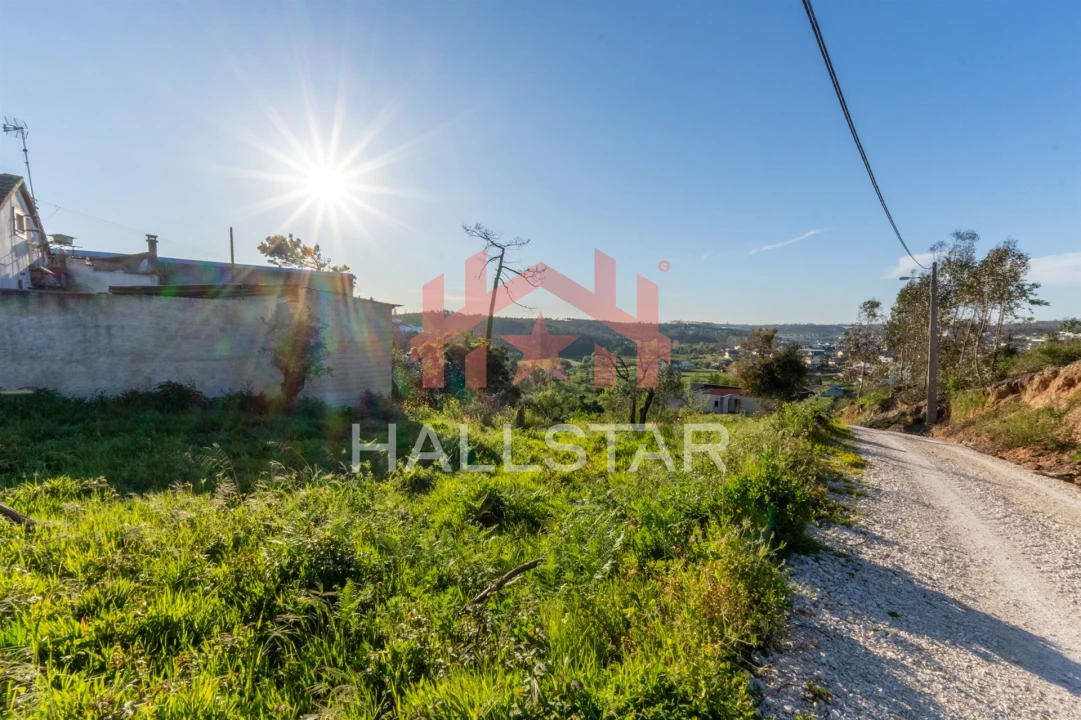 Terreno para Venda em Colmeias e Memória Foto 5