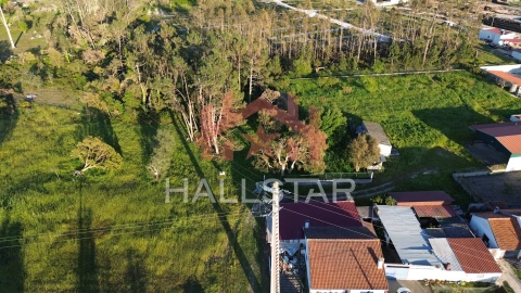 Terreno para Venda em Monte Redondo e Carreira
