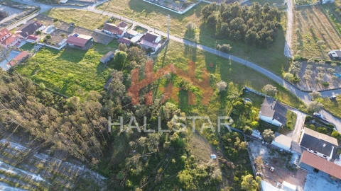 Terreno para Venda em Monte Redondo e Carreira