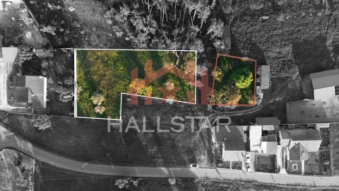 Terreno para Venda em Monte Redondo e Carreira